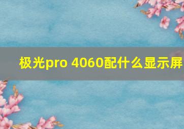 极光pro 4060配什么显示屏